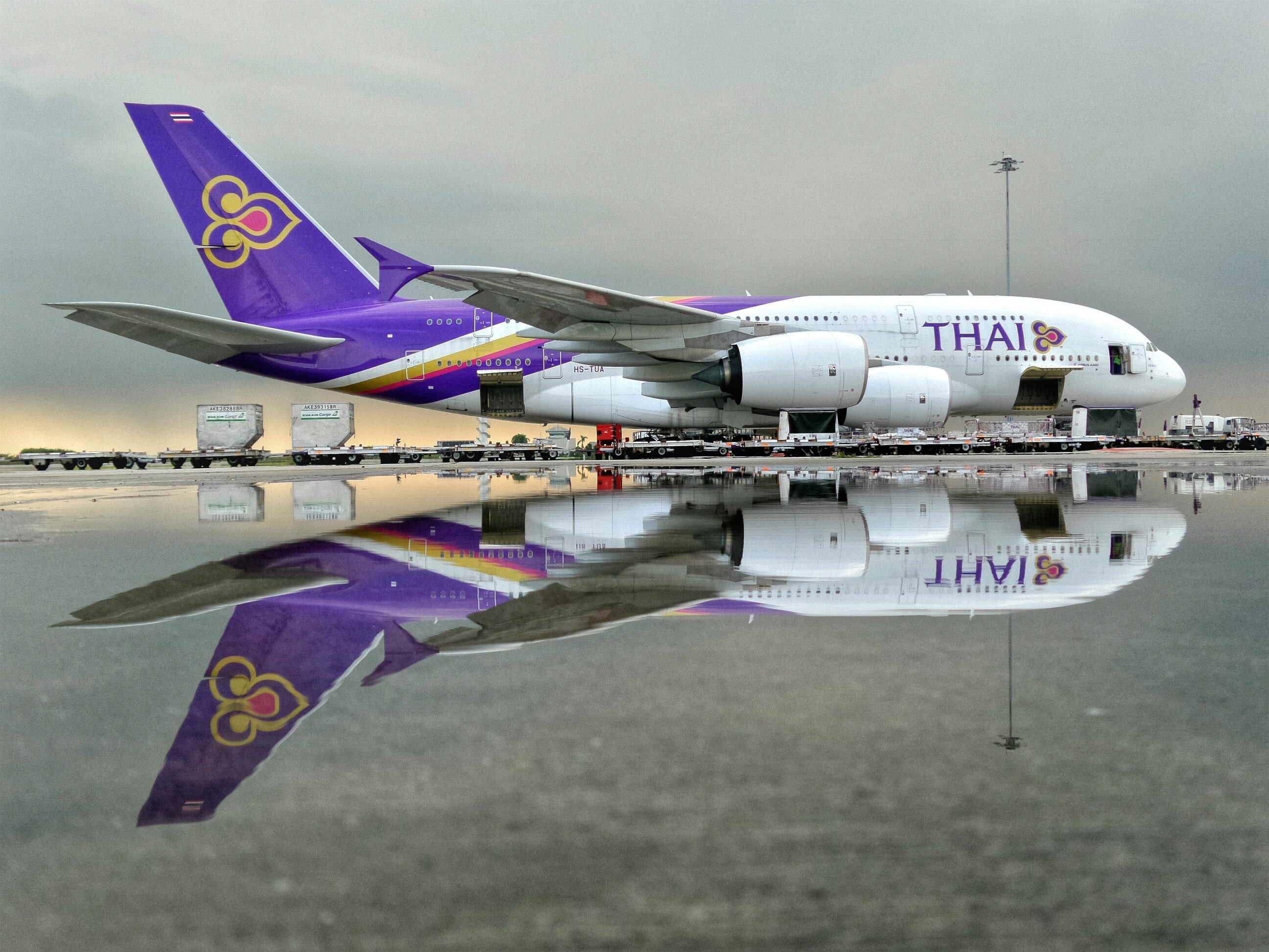 Самолет екатеринбург бангкок. Самолет в Тайланд. Thai Air. Самолет тайские авиалинии. Авиапарк Thai Airlines.